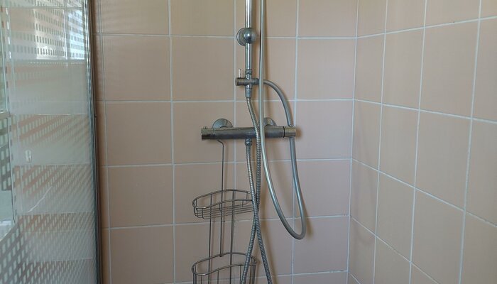 Salle de bains douche à l
