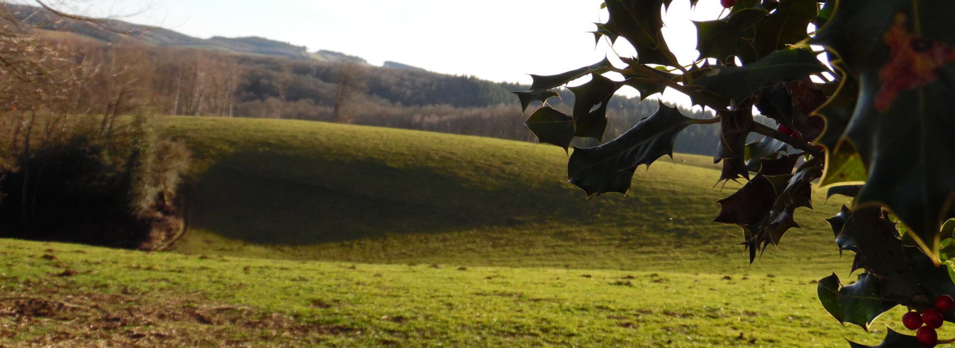 Gite Cantal - Lafeuillade en Vézie (15)